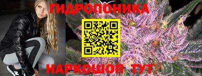 эйфоретик Братск