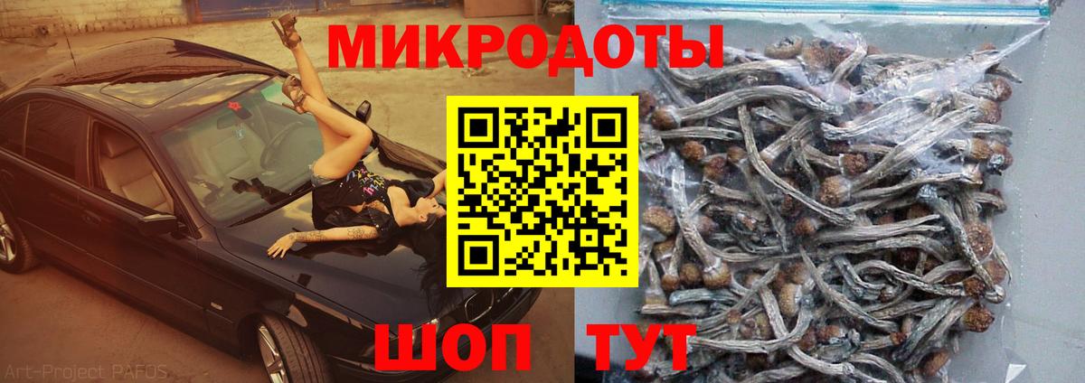 Галлюциногенные грибы мицелий  Вход с VPN  Коммунар 